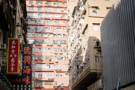 洪金宝:香港电影不是只有周星驰，还有我的贡献