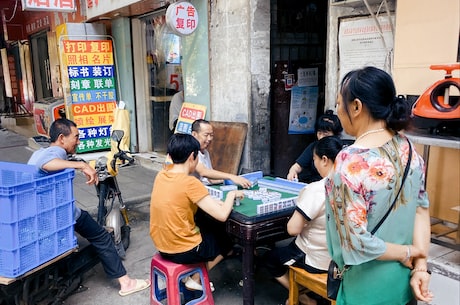 玫瑰到了花期 但温室中培养的玫瑰花