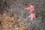 余秋雨与马兰：不同领域的艺术巨匠